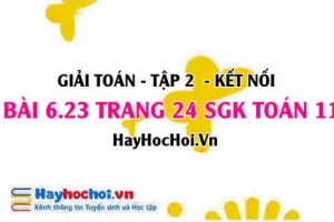 Bài 6.24 trang 24 Toán 11 tập 2 Kết nối tri thức: Vận dụng hàm số mũ và logarit giải toán